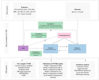 Autoimmune diseases and their genetic link to bronchiectasis: insights from a genetic correlation and Mendelian randomization study